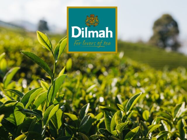 Dilmah - Magia herbaty kryje się w jej naturalnej różnorodności